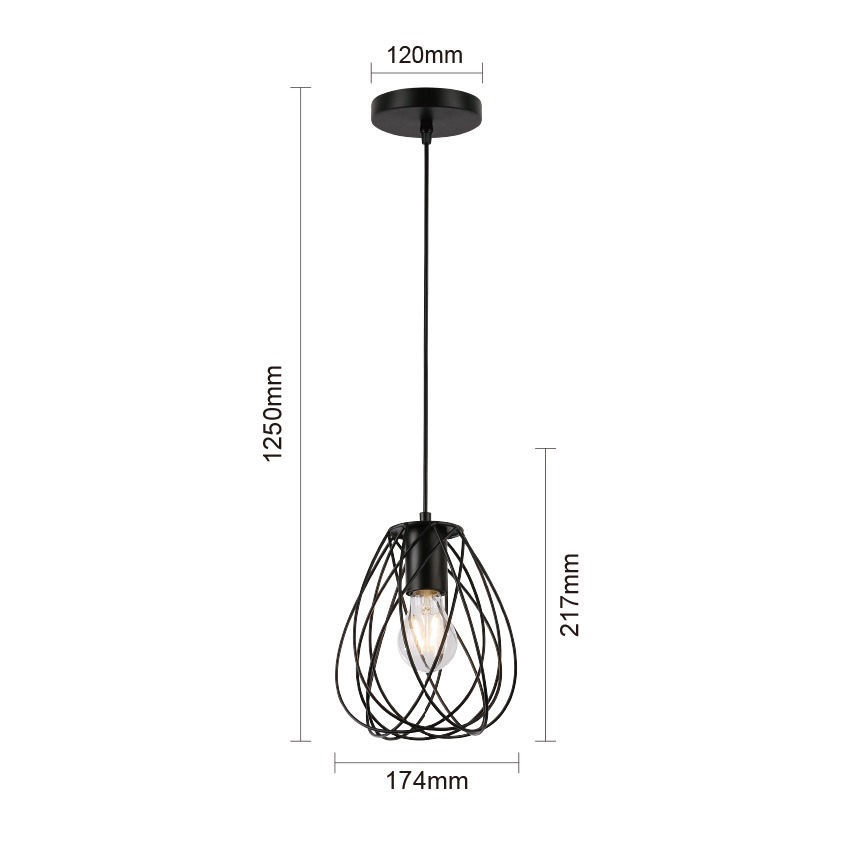 Black Metal Cage Hanging Light