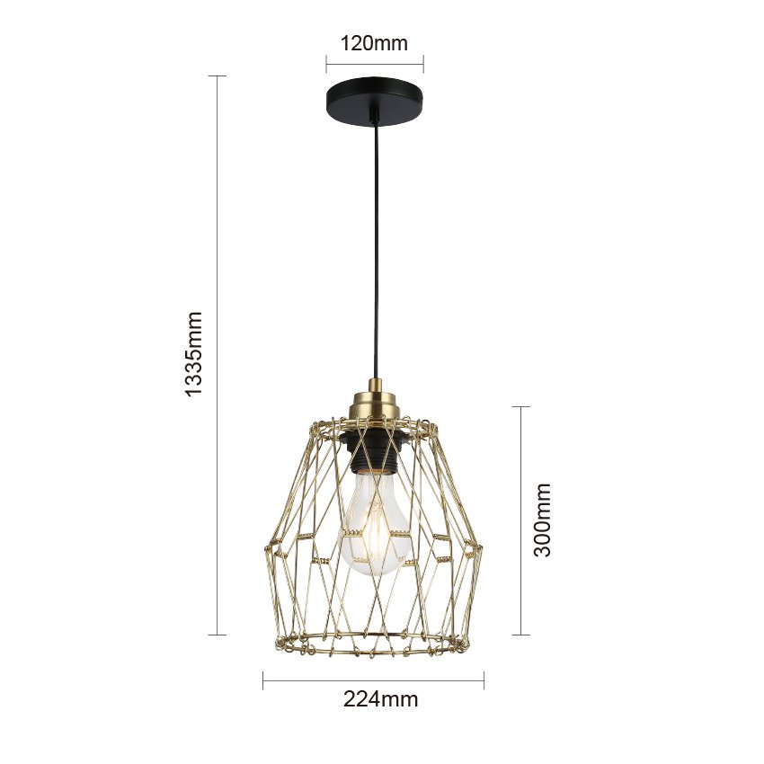 1lt Golden Plated Transformer Metal Cage Pendant Lamp